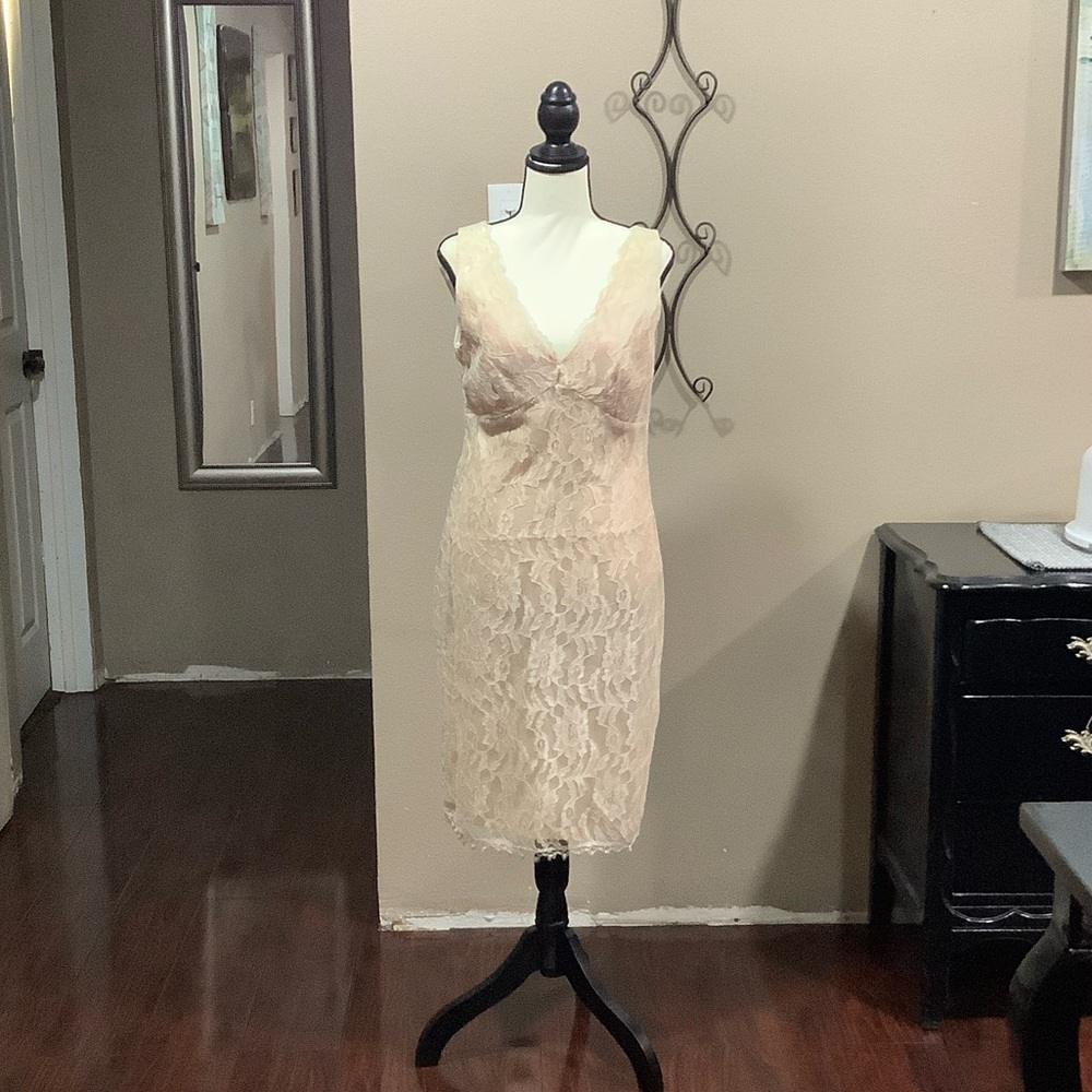 Elegant Lace Dress in Cream